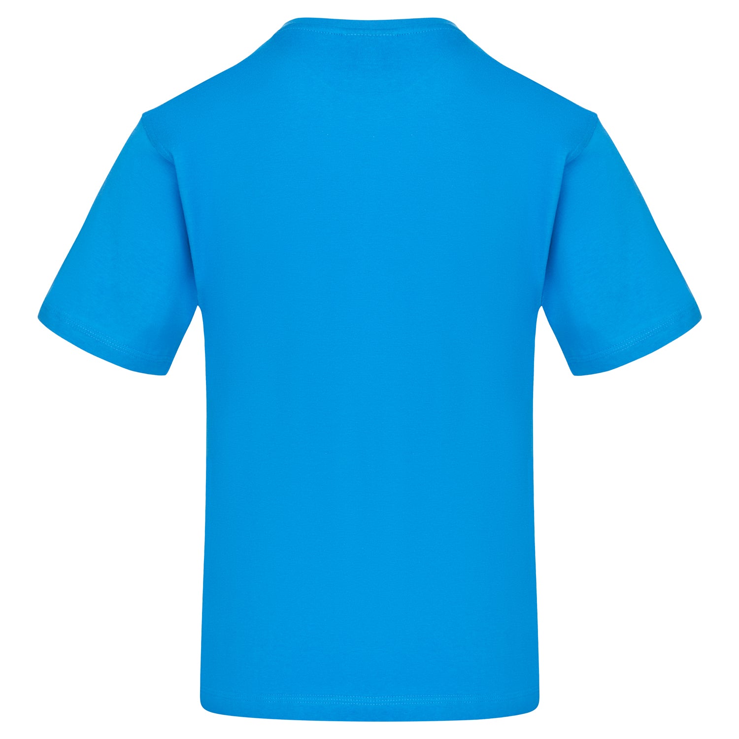 Orn Plover T-Shirt - Reflex Blue - 1000 - - Customisable T-Shirts & Poloshirts