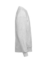 Ash Grey Melange