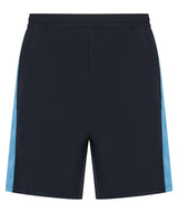 Navy/Sky