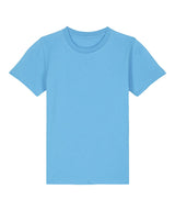 Aqua Blue