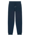 French Navy