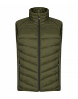Fog Green